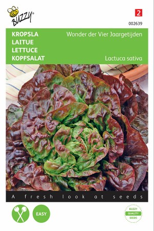 Wonder of Four Seasons lettuce