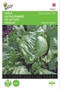 Iceberg Geat Lakes 118 Lettuce seeds