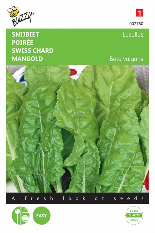 Lucullus Swiss Chard seeds