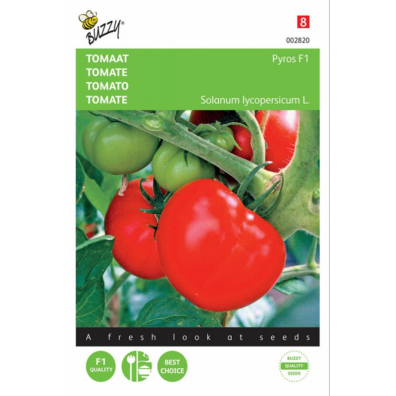 Pyros F1 tomaat zaden Ronde Tomaten Zaden Zaden kopen? Tuinzaden.eu