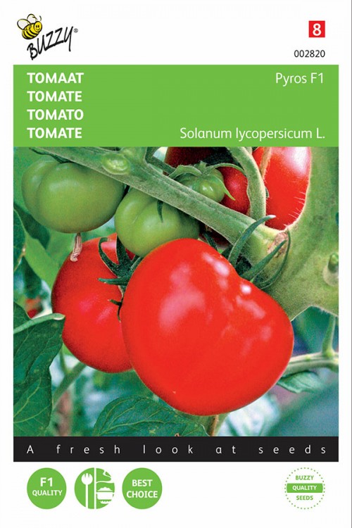 Pyros F1 tomato seeds