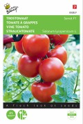 Serrat F1 tomato seeds