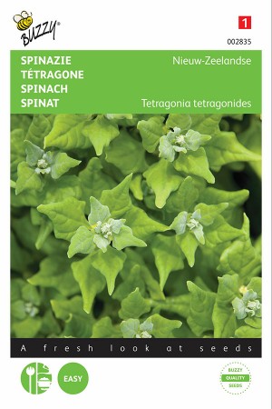 New Zealand Spinach seeds