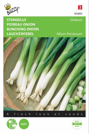 Ishikura bunching onion seeds