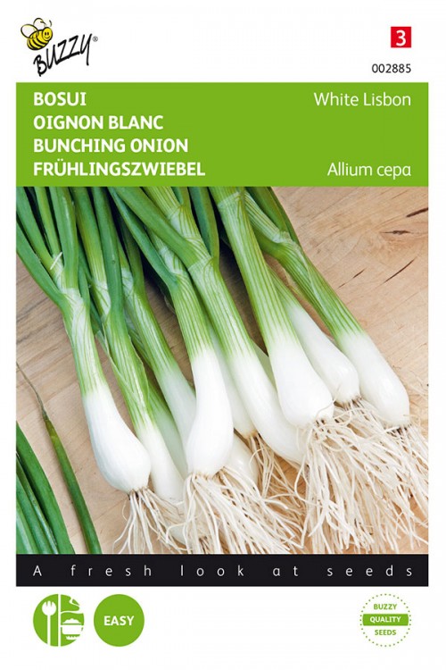 White Lisbon bunching onion