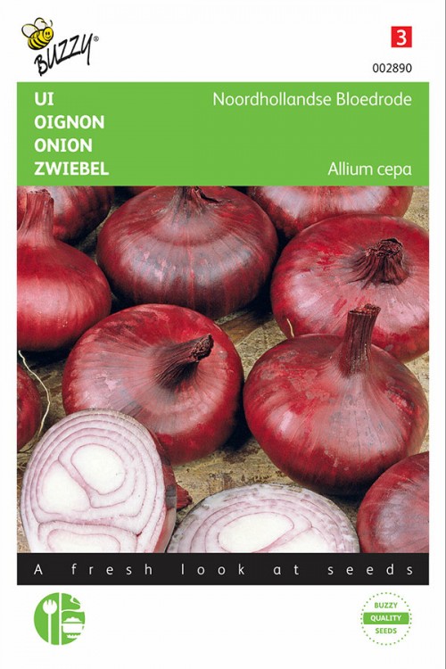 Dutch Bloodred onion seeds - Improved Brunswick
