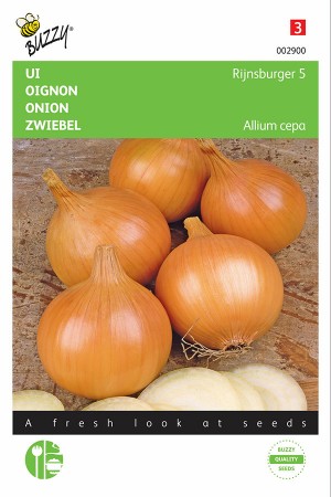 Rijnsburger 5 yellow onion seeds