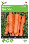 Berlicum 2 - Winter Carrot