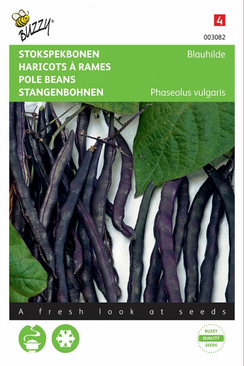 Blauhilde Purple Pole Bean seeds