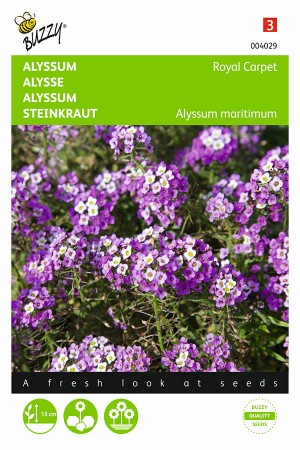 Royal Carpet - Sweet Alyssum seeds