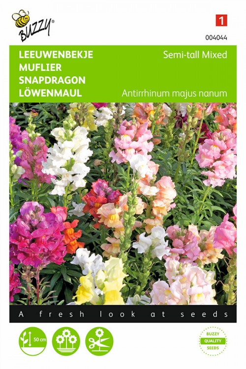 Semi-tall mixed Antirrhinum Snapdragon seeds