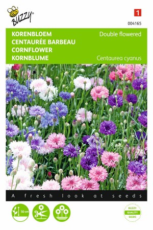 Mixed Centaurea Cornflower seeds