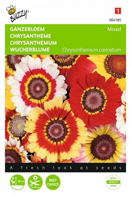Bonte Ganzenbloem Chrysanthemum zaden