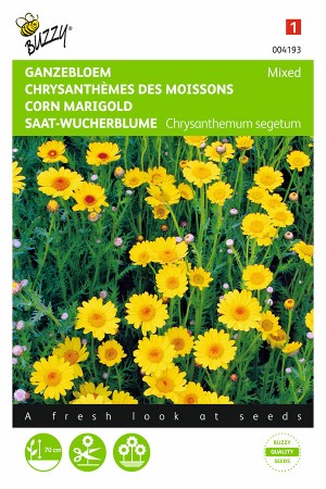 Yellow Shades Corn Marigold Chrysanthemum seeds