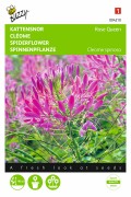 Pink Queen Cleome - Spider Flower seeds
