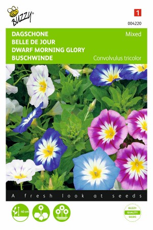 Morning Glory Convolvulus seeds