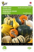 Mixed small and large ornamental gourds