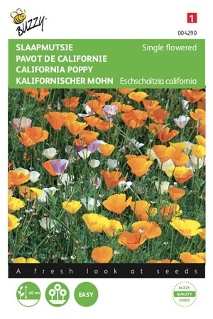 Single California poppy Eschscholtzia seeds