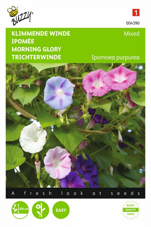 Mixed Morning Glory Ipomoea seeds
