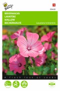 Pink-Red Royal Mallow seeds