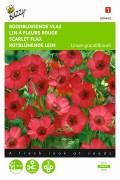 Red Scarlett Flax - Linum seeds
