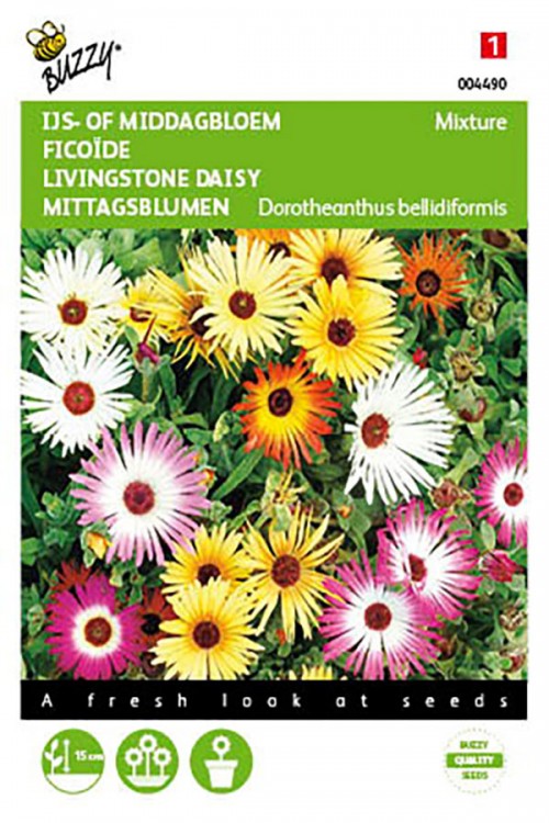 Mixture Livingstone Daisy - Dorotheanthus seeds