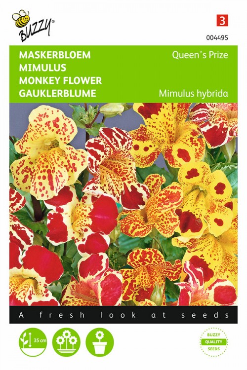 Queens Prize Monkey flower Mimulus seeds