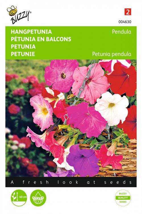 Pendula Petunia seeds