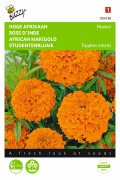Hawaii African Marigold Tagetes seeds