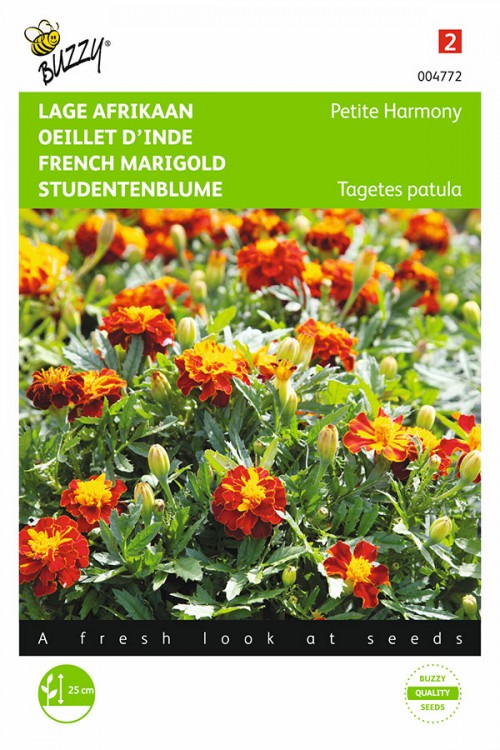 Petite Harmony French Marigold Tagetes seeds