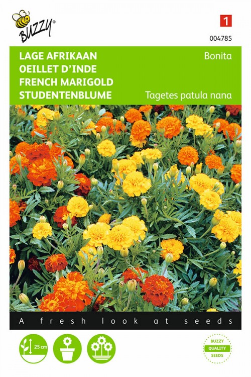 Bonita French Marigold Tagetes seeds