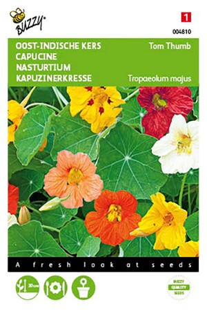 Tom Thumb Nasturtium seeds