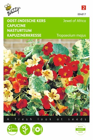 Jewel of Africa Nasturtium seeds