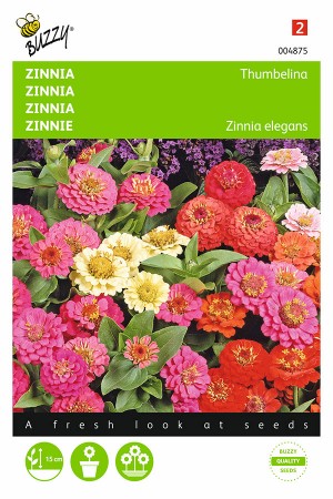 Lage Thumbelina - Mini Zinnia