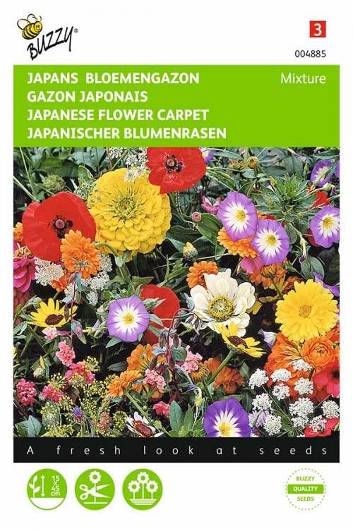 Japanese flower carpet seeds