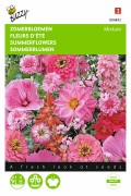 Red and pink Summer flower seeds