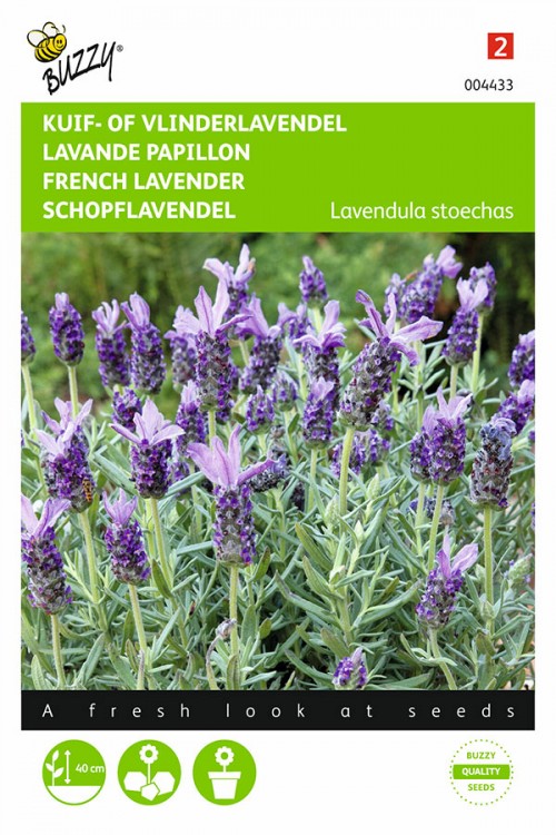 Franse Lavendel - Kuiflavendel zaden
