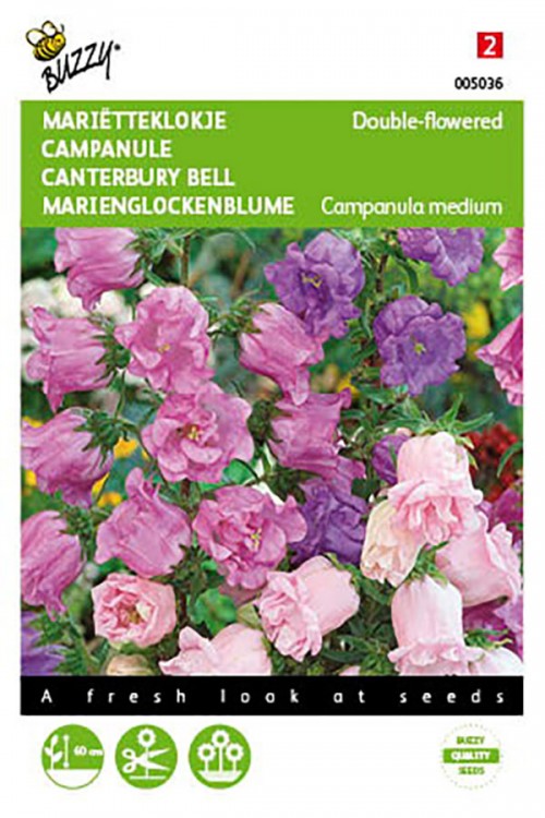 Double flowered Canterbury Bell seeds
