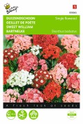 Single flowered - Sweet William seeds