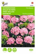 Pink Beauty - Sweet William seeds