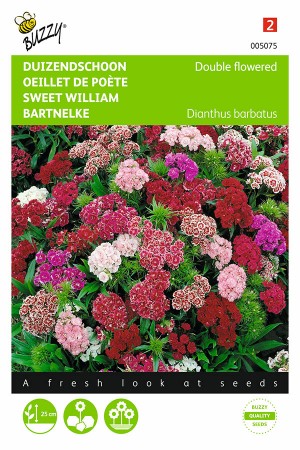Dwarf double flowered - Sweet William seeds