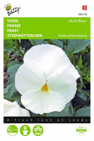 Mont Blanc - Pansy seeds