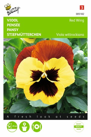 Red Wing - Pansy seeds