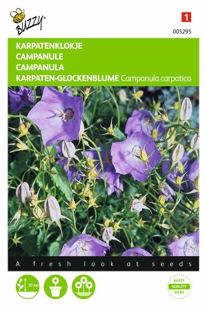 Blue Tussock Bellflower - Campanula seeds