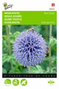 Blue Globe Kogeldistel - Echinops zaden