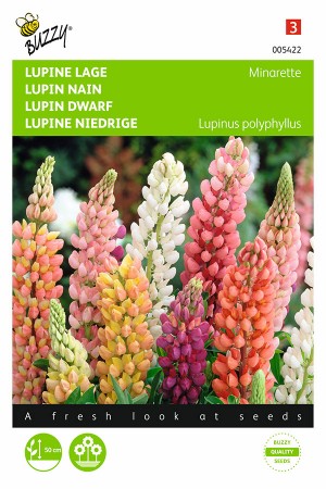 Minarette - Lupine seeds