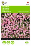Pink Saponaria Soapwort seeds