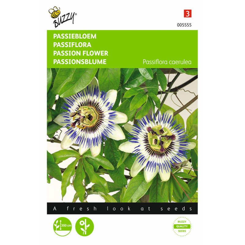 Passion Flower seeds Passiflora • Tuinzaden.eu