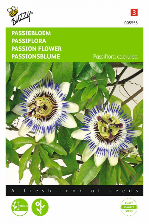 Passion Flower seeds