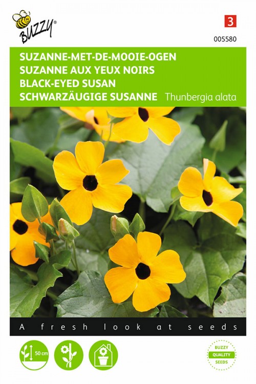 Yellow Black-Eyed-Susan seeds
